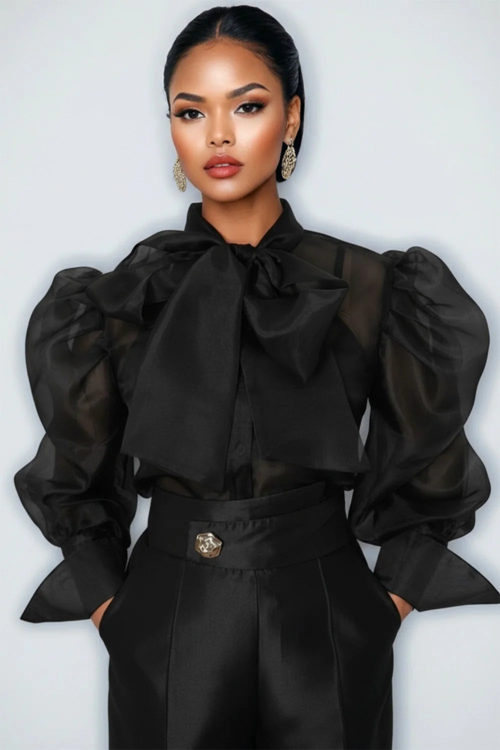 SHEER PUFF SLEEVE TOP